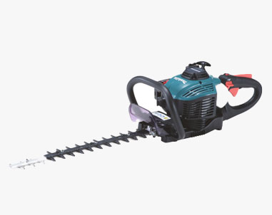 Eh 6000 w