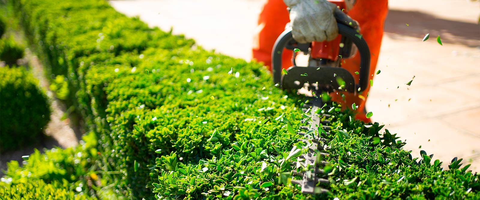 Giardinaggio: come prepararsi alla bella stagione in Val Camonica e Valtellina